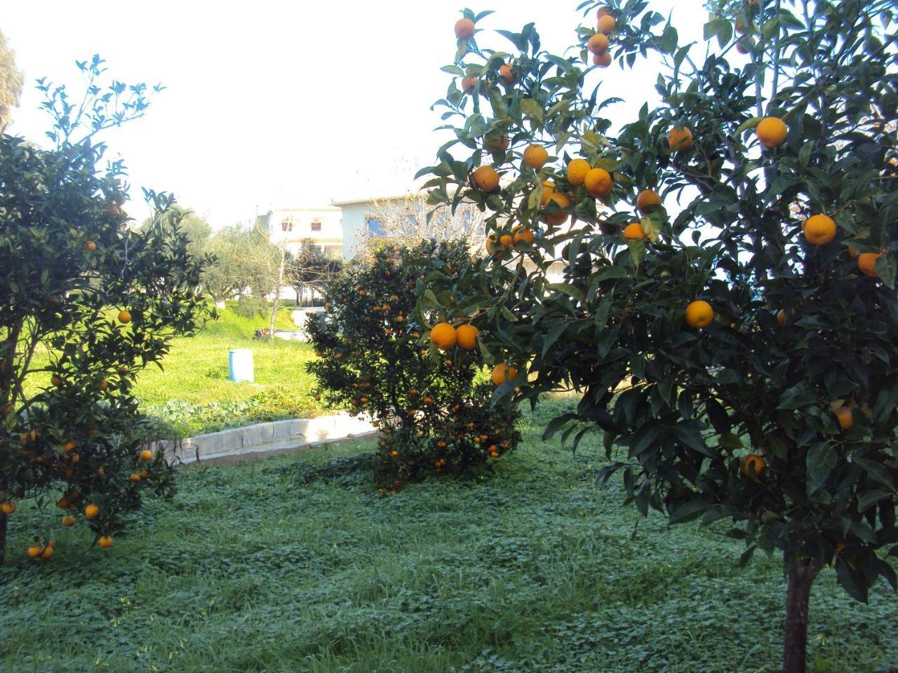 Villa Nostos Koróni Exteriör bild